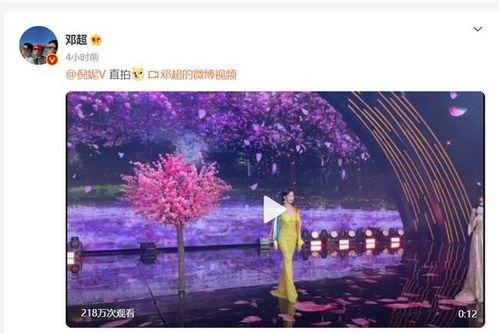 日韩女明星直拍视频网站,捕捉魅力瞬间，揭秘明星日常