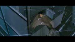 国产飞龙试毒视频,揭秘中药安全与品质