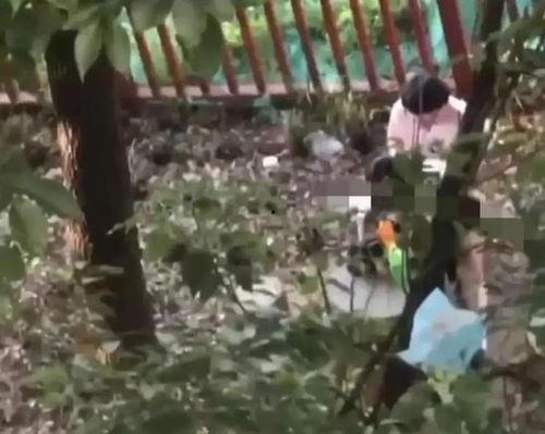 小树林国产视频,国产视频中的青春记忆与情感共鸣