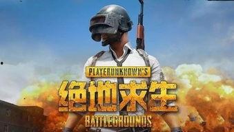 绝地求生日韩视频下载,刺激战场韩服视频攻略下载全解析