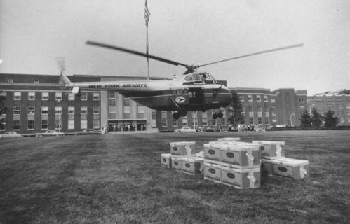 1957亚洲流感视频,一场改变世界的病毒风暴