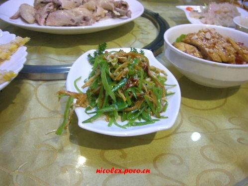 日韩螃蟹美食视频大全集,一场味蕾的狂欢之旅